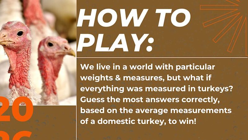 How Many Turkeys?
